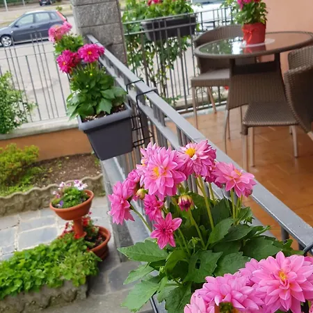 Villa Rosina-3